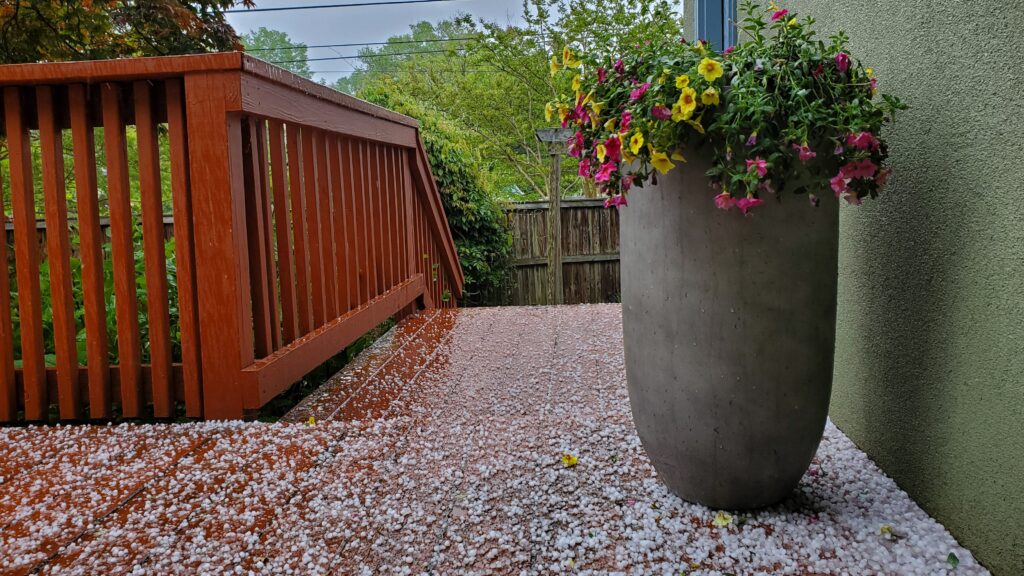 Sleet in May